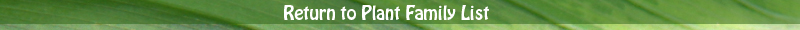 Return to Plant List.jpg