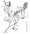 Thumbnail for version as of 16:50, 9 June 2008