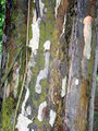 Thumbnail for version as of 04:15, 19 September 2014
