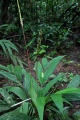 Thumbnail for version as of 19:32, 30 July 2009