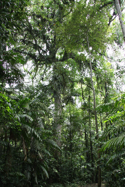 File:Hura 2014 7.jpg