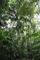 Thumbnail for version as of 21:58, 10 October 2014