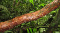 Thumbnail for version as of 19:15, 30 March 2012