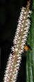 Thumbnail for version as of 20:24, 6 December 2010
