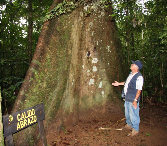 File:IMG 0916b.jpg