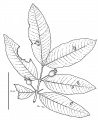 Thumbnail for version as of 16:41, 9 June 2008