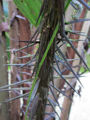 Thumbnail for version as of 13:49, 9 April 2013