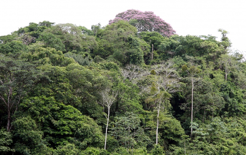 File:IMG 0821b.jpg