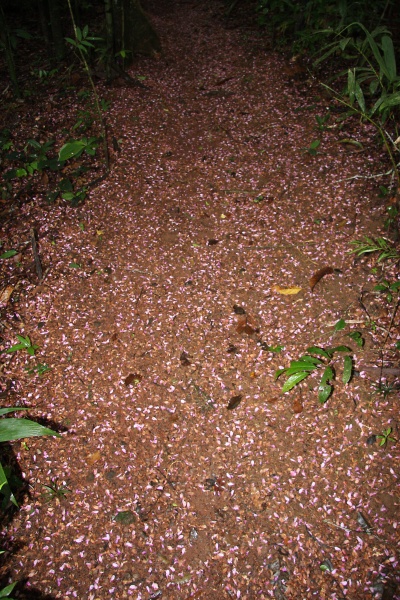 File:IMG 0923b.jpg