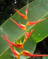 Thumbnail for version as of 20:34, 10 December 2010