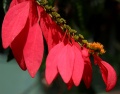Thumbnail for version as of 17:21, 30 July 2009