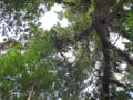 Thumbnail for version as of 19:24, 10 April 2012