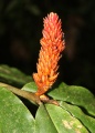Thumbnail for version as of 16:28, 8 February 2011