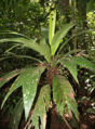 Thumbnail for version as of 18:05, 26 March 2012