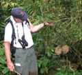 Thumbnail for version as of 19:30, 10 April 2012