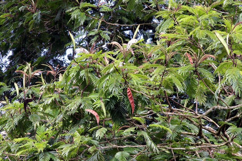 File:IMG 0744b.jpg