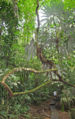 Thumbnail for version as of 19:09, 27 March 2012