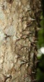 Thumbnail for version as of 19:13, 22 September 2008