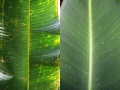 Thumbnail for version as of 14:59, 30 July 2009