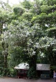 Thumbnail for version as of 18:54, 22 September 2008