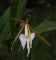 Thumbnail for version as of 17:13, 30 July 2009