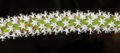 Thumbnail for version as of 18:09, 26 March 2012