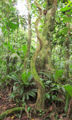 Thumbnail for version as of 19:39, 2 April 2012