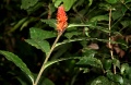 Thumbnail for version as of 16:27, 8 February 2011