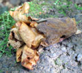 Thumbnail for version as of 14:15, 11 April 2013