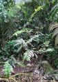 Thumbnail for version as of 19:27, 27 March 2012