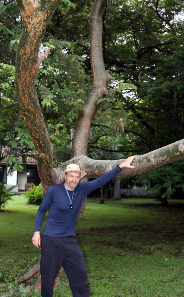 File:IMG 0570b.jpg