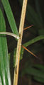 Thumbnail for version as of 18:26, 26 March 2012