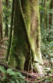 Thumbnail for version as of 14:39, 3 August 2009