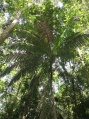 Thumbnail for version as of 12:59, 31 July 2009