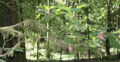 Thumbnail for version as of 18:48, 15 May 2012