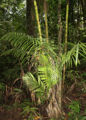 Thumbnail for version as of 20:02, 27 March 2012