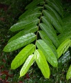 Thumbnail for version as of 14:40, 3 August 2009