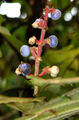 Thumbnail for version as of 21:07, 11 October 2014