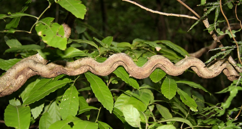 File:IMG 0679b.jpg