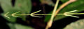 Thumbnail for version as of 19:31, 27 March 2012