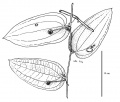 Thumbnail for version as of 16:08, 9 June 2008