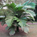 Thumbnail for version as of 13:43, 9 April 2013