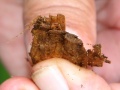 Thumbnail for version as of 18:02, 24 September 2008