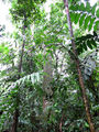 Thumbnail for version as of 05:11, 25 October 2014