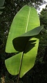 Thumbnail for version as of 15:03, 30 July 2009