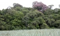 Thumbnail for version as of 17:47, 24 September 2008