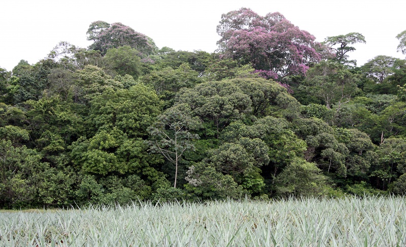 File:IMG 0810b.jpg