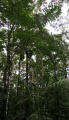 Thumbnail for version as of 12:44, 31 July 2009