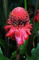 Thumbnail for version as of 17:33, 30 July 2009