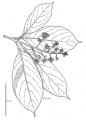 Thumbnail for version as of 16:00, 9 June 2008
